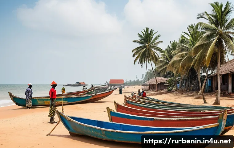 베냉의 주요 수출품 관련 이미지 2